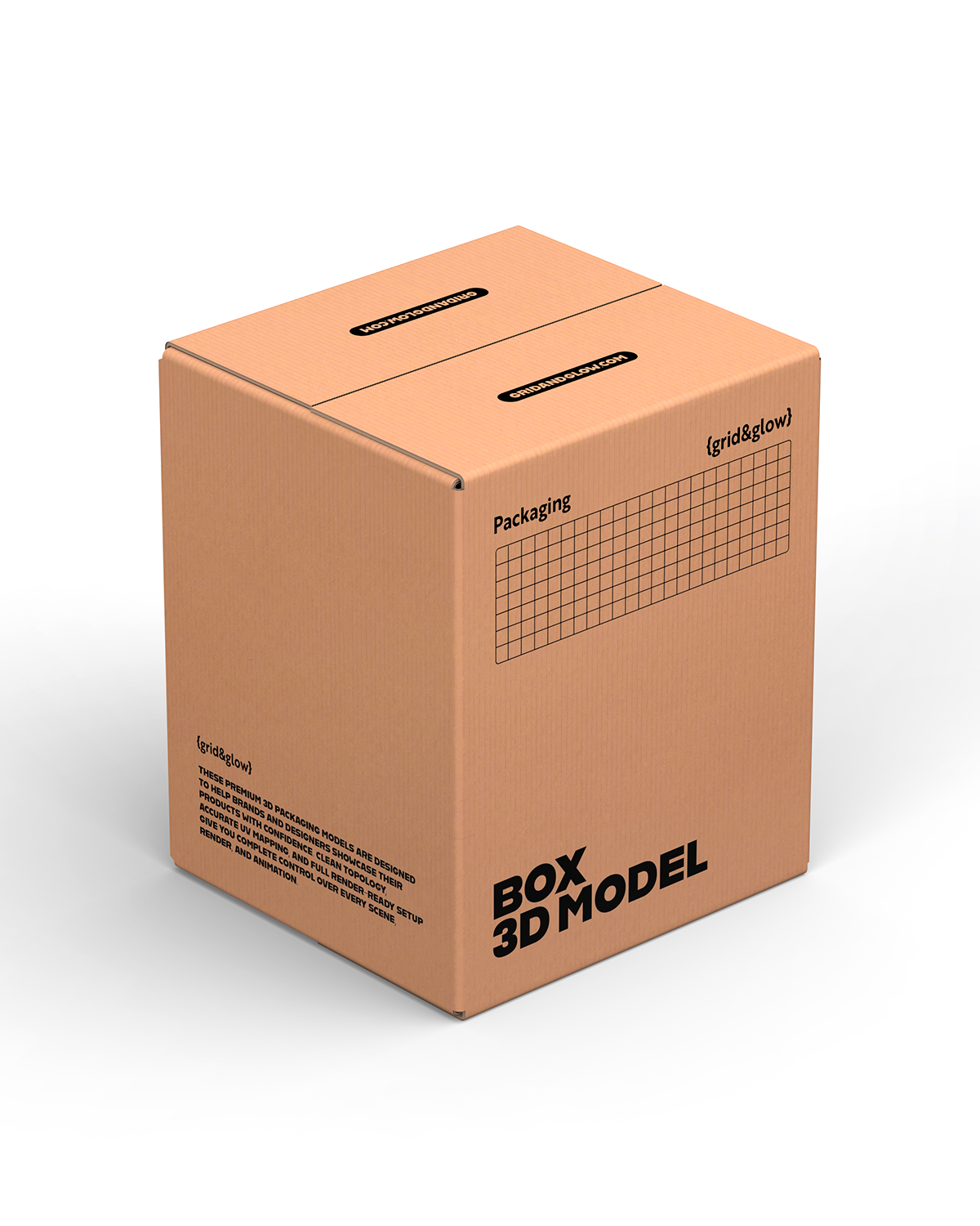 Box 3D Model C-C03