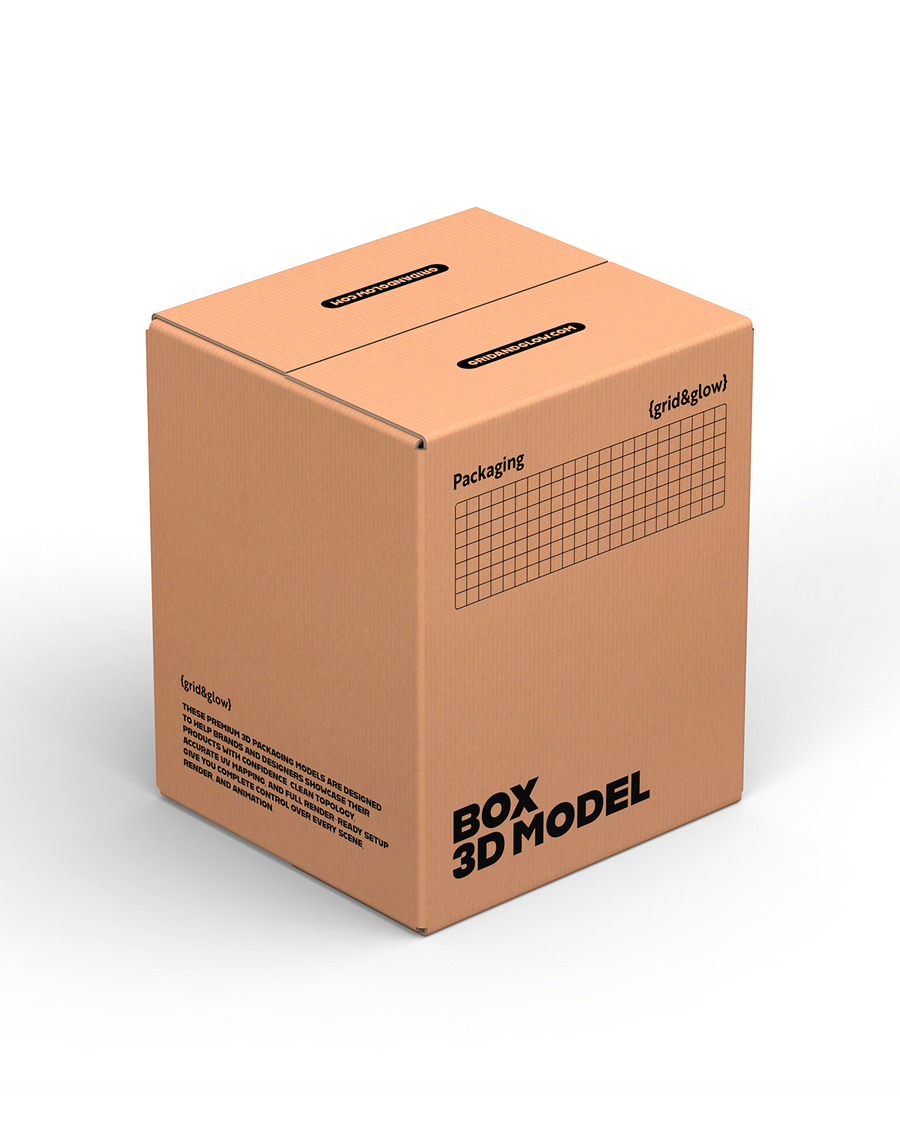 Box 3D Model C-C03