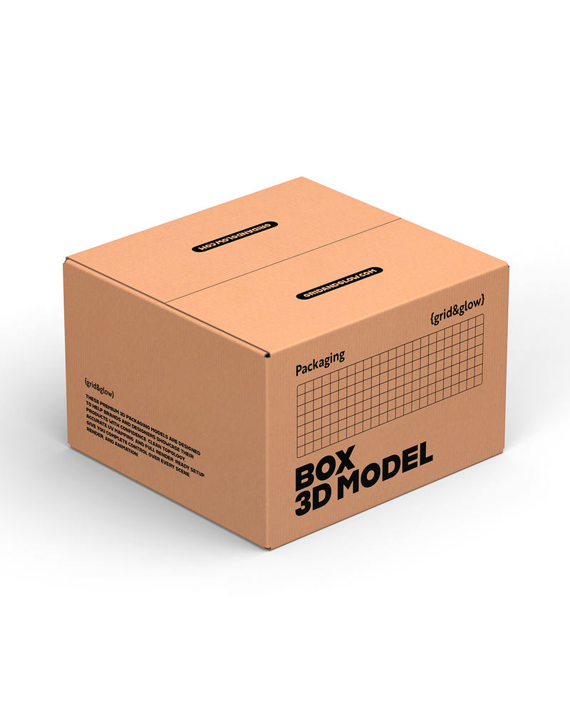 Box 3D Model C-C01