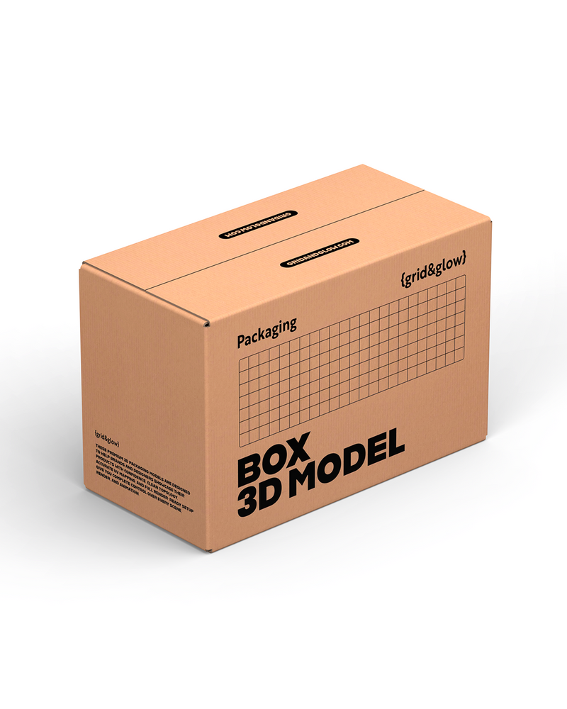 Box 3D Model C-C02