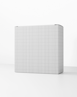 White rectangular box mockup with grid pattern on a white background